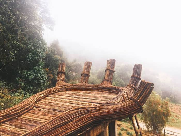 Hoa Điền Sơn Trang Đà Lạt