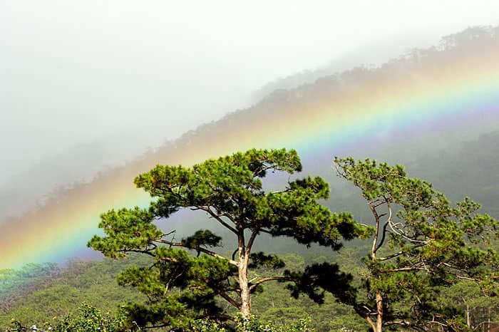 Vườn quốc gia Bidoup núi Bà